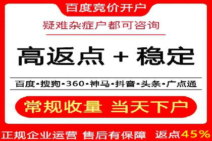 低成本高回报：百度竞价代理成功案例分析